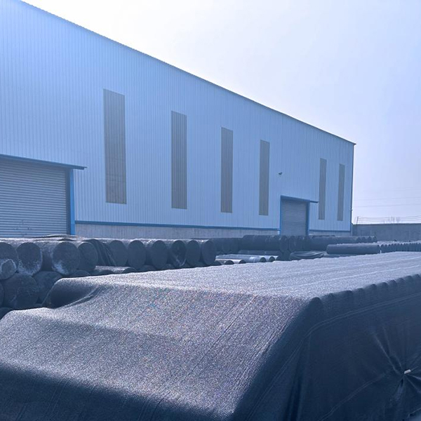 Hebei Yaofa Carbon Co., Ltd.: Leading with innovation and moving forward steadily